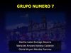 REVISTA GRUPO SIETE