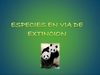 EN VIA DE EXTINCION