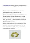 www.aypearl.com guide you Fashion Olivine jewelry in this autumn