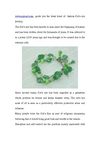 www.aypearl.com guide you the latest trend of fashion Cat's eye jewlery 