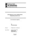 Tesis de Doctorado
