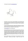 The Charming Of Silver jewelry At www.smallmoqjewelry.com