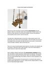 Costume Jewelry Apparent And Fashionable