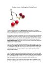 Fashion Jewelry - Imbibing latest Fashion Trends
