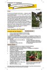 Bulletin municipal de la commune de Comprégnac - Juin 2009