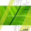 Plateaux Repas Sodexo BIOPARK - Automne 2009