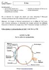 L'oeil
