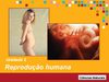 2º cap - Reprodução humana