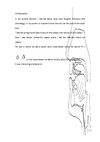 Second element of Phonetics and Phonology (Introduction, Conclusion and Reflection)