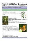 Arroumec n°30