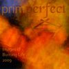 Prim Perfect's Images of Burning Life 2009