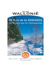 De slag om de Ardennen