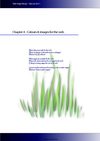Web Design Manual Part 1 - Colours & Images