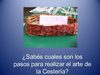 TALLER DE CESTERIA