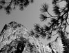Yosemite