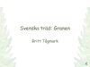 Den svenska granen