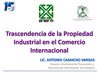 1er. Encuentro Empresa-Universidad ANIERM 2009 - Trascendencia de la Propiedad Industrial en el Comercio Internacional