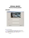 VISUAL