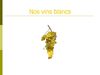 les vins blancs