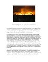 PENSEMOS EN UN FUTURO AMBIENTAL