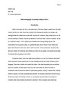 Mini Ethnographic research