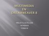 MULTIMEDIA