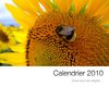 Calendrier 2010