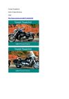 Triumph Thunderbird Motorcycle SelMcKenzie Selzer-McKenzie