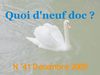 quoi d' neuf doc ? n°41.