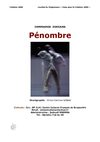 Dossier de "Pénombre" danse contemporaine, lauréa du programe visas pour la création 2009