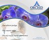 Orchid brochure
