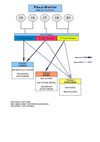Le Plexus Brachial