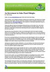 An Investment in Solar Panel Shingles