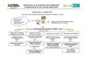 Protocolo de actuación ante problemas informáticos en un centro educativo