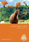 Brochure équestre Haute-Vienne 2010