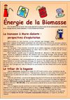 ENERGIE DE LA BIOMASSE CO