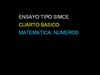 Ensayo Simce