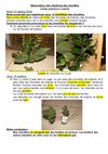 06observation_reaction_chenilles