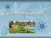 As plantas