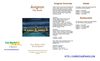 avignon-travel-guide