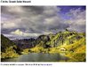 49 photos pleines de couleurs