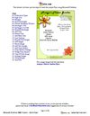 Microsoft Publisher 2007 Tutorials: Florist Flyer