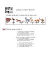 Kids | Les Animaux | Le loup, le renard et la belette (Exercice)