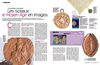 Kids | Histoire | Les sceaux: Le Moyen-Age en images