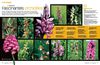 Kids | Le monde des plantes | Fascinantes orchidées