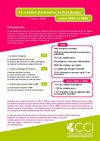 Création d'Entreprises au Pays Basque de 2006 à 2008
