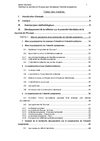 Mémoire Optimiser la Journée de l'Europe pour développer l'identité européenneSH