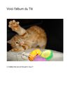 Album de Titi