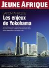 Le Plus Japon - Afrique 18 mai 2008