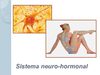 Sistema neuro-hormonal